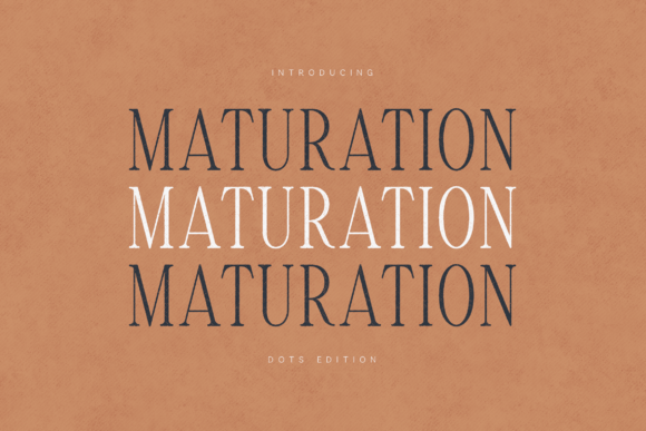 Maturation: A Serif Typeface for Editorial Storytelling